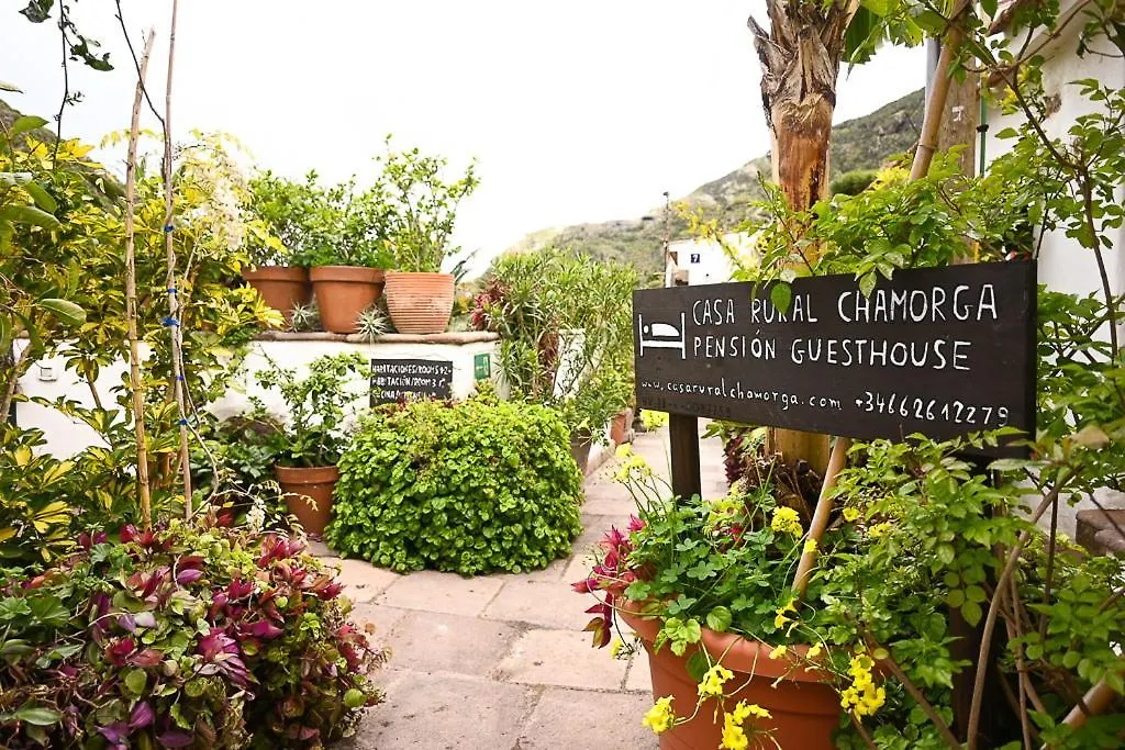 Casa Rural Chamorga - Pension - Guesthouse - Santa-Cruz de Ténérife Séjour à la campagne